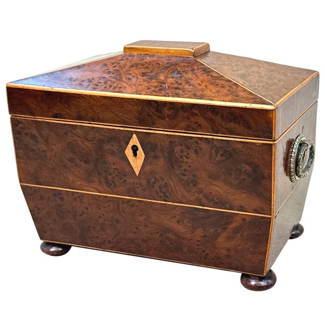 19th Century Burr Yew Tea Caddy, 1820 For Sale - Image 12 of 12