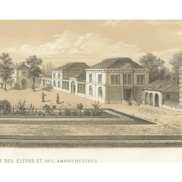 V. Rose, Alfort Veterinary School, 1873, Paper For Sale - Image 6 of 12