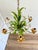 Vintage Floral Tole Chandelier, 1970 For Sale - Image 10 of 18