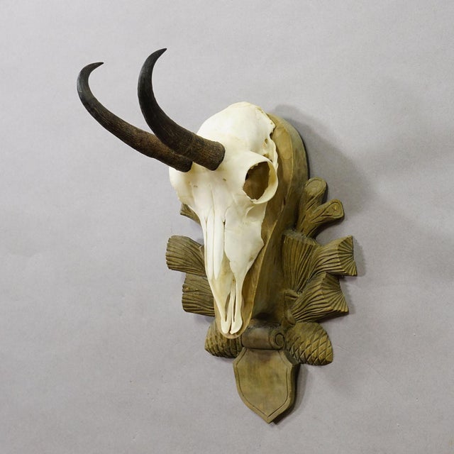 Rustic European Vintage Black Forest Chamois Trophy on Wooden Plaque, Germany 1960s For Sale - Image 3 of 4