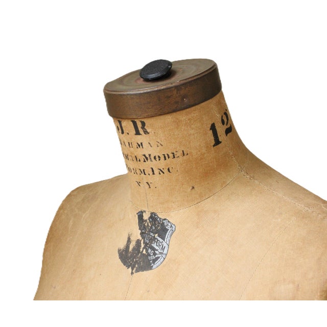 1953 Hallmarked Bauman Dress Form/New York For Sale - Image 4 of 9