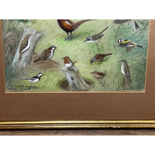 A Winter Gathering: Robin and Mixed British Songbirds — Original Watercolor on Paper in the Tradition of Archibald Thorburn For Sale - Image 11 of 18