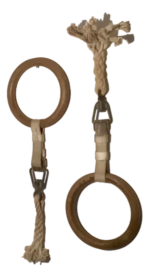 Sport Gymnastic Rings, Set of 2