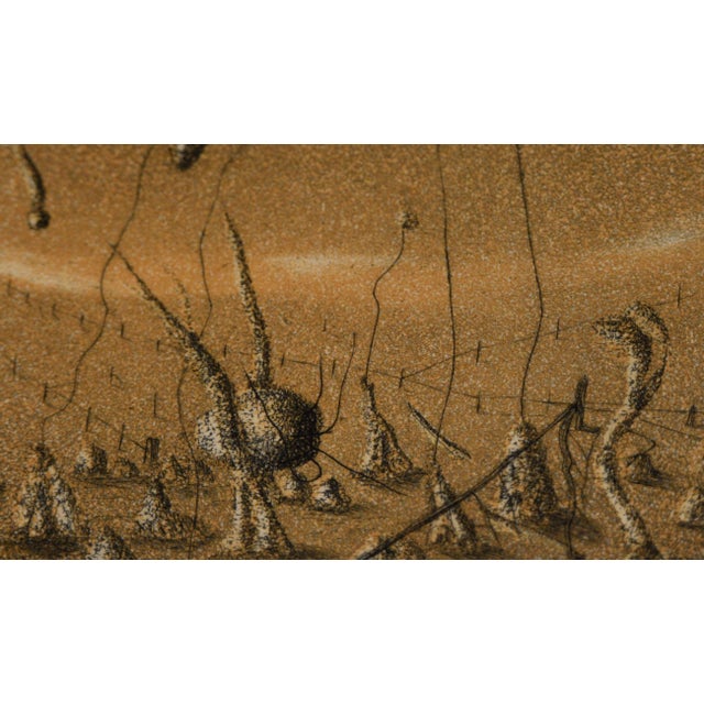 "Sundays Garden" - 1975 Surrealist Lithograph on Paper by Jim Crabb For Sale - Image 4 of 5