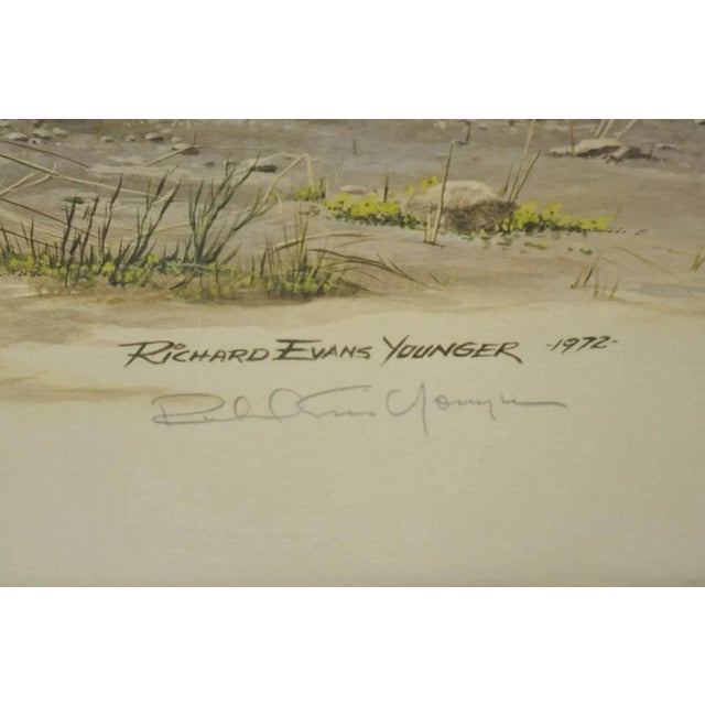 1972 Cheetah Lithograph Art by Richard Evans Younger in Velvet Chrome Frame For Sale - Image 4 of 12