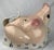 Vintage Hand Painted Ceramic Wall Hanging For Sale - Image 4 of 9