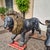 Large Bronze Sculptures of Lions, 1870, Set of 2 For Sale - Image 6 of 18