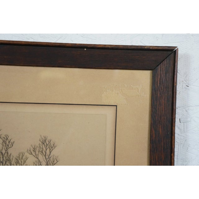 Antique Lh King the Path in the Forest Landscape Etching 20", Framed For Sale - Image 10 of 11