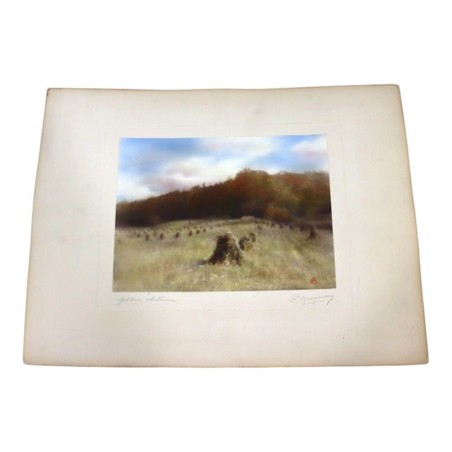 Percy Murray Golden Autumn Signed Vintage Photograph For Sale
