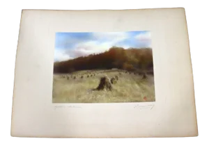 Percy Murray Golden Autumn Signed Vintage Photograph