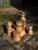 Beech Candlestick 6 by Romain Des Bois For Sale - Image 4 of 9