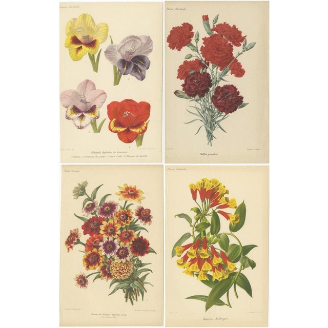 These chromolithographs, originally published in the *Revue Horticole*, represent some of the finest examples of 19th-...