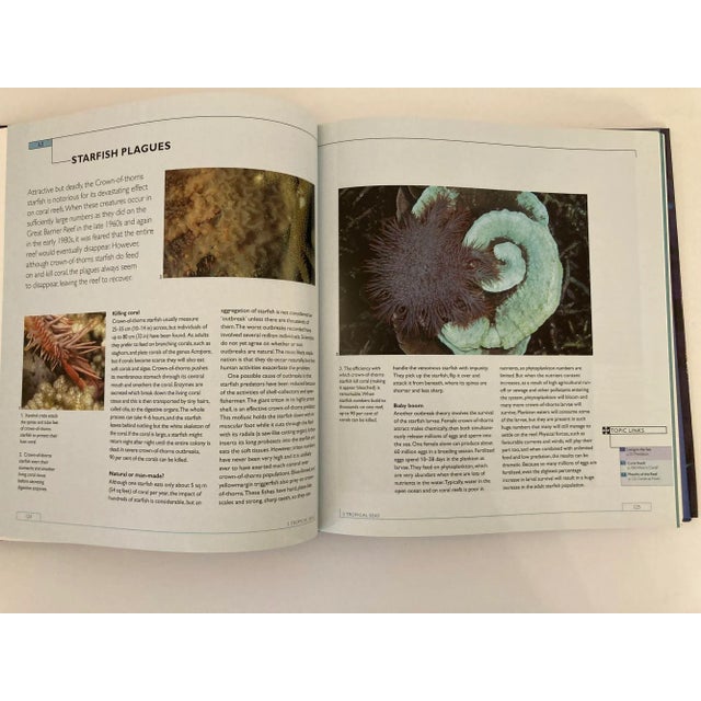 The Blue Planet a Natural History of the Oceans Hardcover Book For Sale - Image 10 of 13