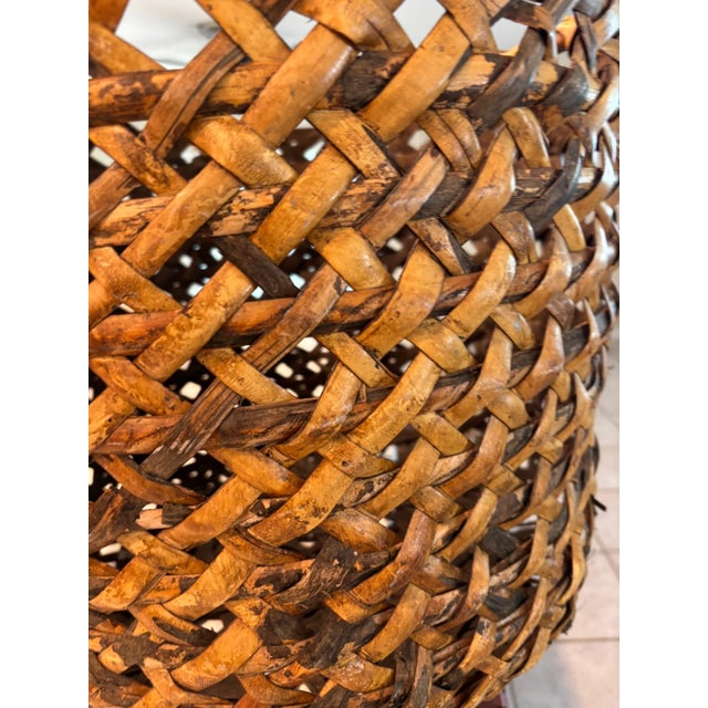 Vintage Oversized Tortoise Shell Burnt Bamboo Burl Floor Basket Planter For Sale - Image 9 of 10