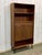 Bar Shelf Library in Teak from G-Plan, 1970s For Sale - Image 9 of 11