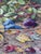 Ronald Bateman Surreal Fantasy Oil Still-Life on Canvas. Reclining figure under a primrose plant with odd plums on the...