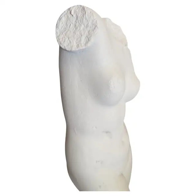 Classical Female Plaster Torso Figural Bust Sculpture on Wood Base, Mma For Sale - Image 10 of 14