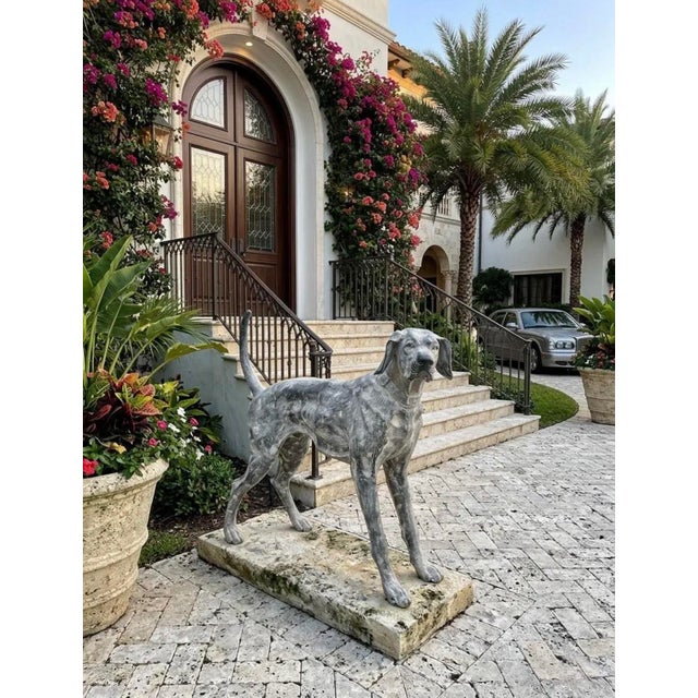 Cast Iron Pointer Dog Sculpture For Sale In West Palm - Image 6 of 11