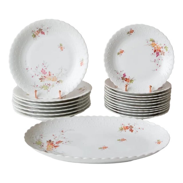 Dishes and Source from Limoges, 1950s, Set of 19 For Sale