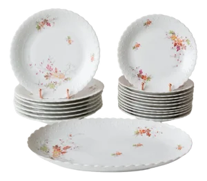 Dishes and Source from Limoges, 1950s, Set of 19