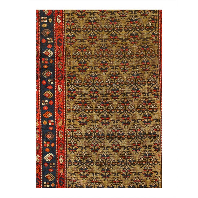 Hamadan rugs are a type of Persian rug. They are hand knotted rugs woven in Hamedan. The city of Hamadan (Hamedan) can be...