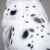 Ceramic Dalmatian, Italy, Mid-20th Century For Sale - Image 3 of 18