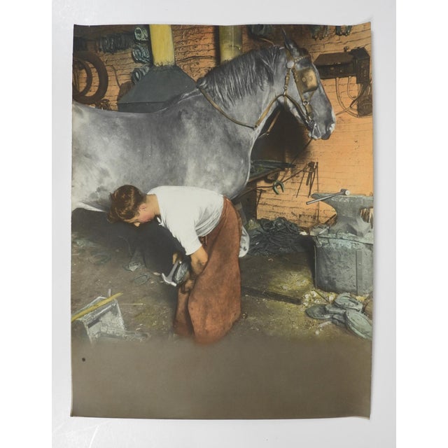 Early 20th century colortone advertising photograph of a work horse and farrier putting on new shoes. Unsigned. Unframed,...