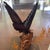 1970s Birdwing Butterfly in a Display Case on Wood. Triedes Brookiana. For Sale - Image 5 of 7