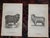 Antique 19th Century Sheep Stone Lithographs - Set of 12 For Sale In Cincinnati - Image 6 of 8