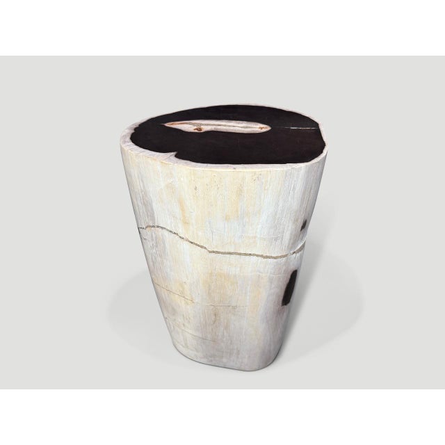 Contemporary Andrianna Shamaris Black and White Petrified Wood Side Table or Pedestal For Sale - Image 3 of 6