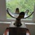 Mid-Century Modern Mid-Century Modern 19" Two-Tone Monkey Pod Wood Lotus Petal Pedestal Centerpiece For Sale - Image 3 of 17