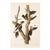 1990s Ivory-Billed Woodpecker After Audubon, Large American Classical or Cottage Print For Sale
