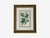 Traditional Traditional Wall Decor, Framed Floral Botanicals, Giltwood Frame, 19th C. For Sale - Image 3 of 14