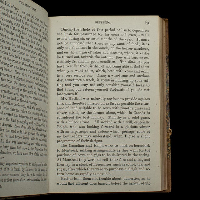 1880's Antique Novel the Snow Ship For Sale - Image 6 of 10
