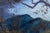 Contemporary Impressionistic Coastal Landscape Oil on Panel For Sale - Image 3 of 8