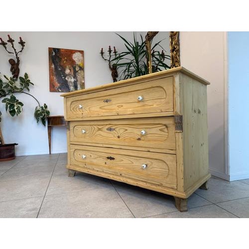 Biedermeier Chest of Drawers in Softwood For Sale - Image 5 of 15