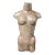 Late 19th Century Carved Large Solid Wood Paper Mache Mold Female Torso Sculpture For Sale