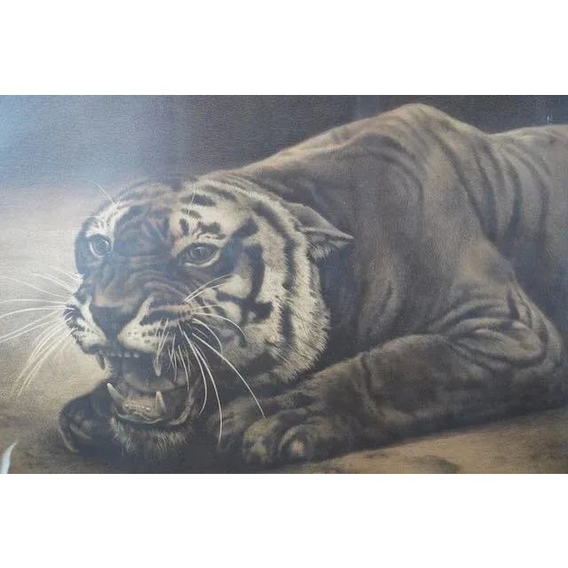 Late 19th Century 19th Century Black and White Lithograph of a Tiger For Sale - Image 5 of 6