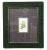 Botanical Coloured Lithographs from Botanical Register ( 170 Piccadilly, London, J. Ridgway, 1822 & 1836) Framed in Green...