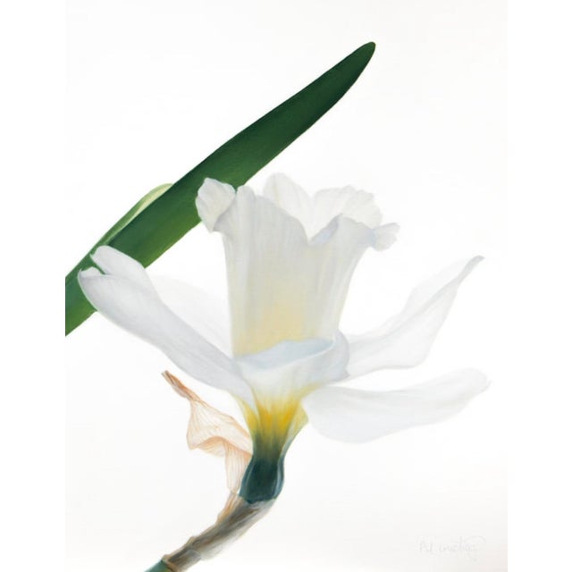 Where Light Rests 36” x 22” Oil on Canvas Unframed, on stretcher This luminous oil on canvas by Phil Courtney presents an...