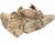 Asian Fossil Crab (Galene Granulifera) From Taiwan, Pliocene Period For Sale - Image 3 of 8