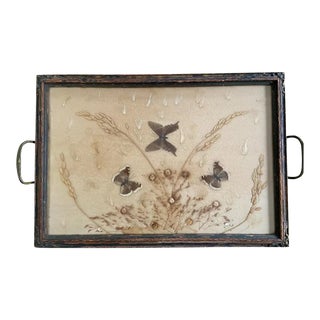Early 20th Century Pressed Butterfly & Botanical Tray For Sale