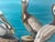 Mid-Century Modern MCM Coastal Pelican Oil Painting For Sale - Image 3 of 6