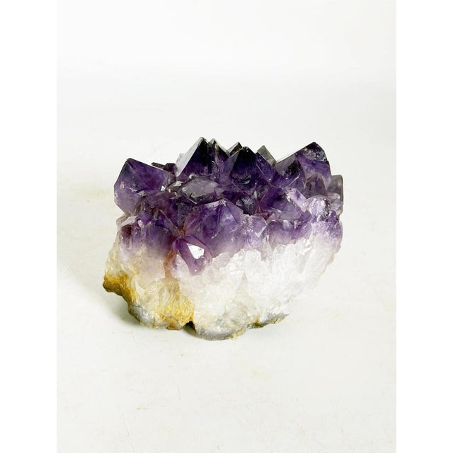 Gemstone 20th Century Press Paper in Amethyst, France For Sale - Image 7 of 9