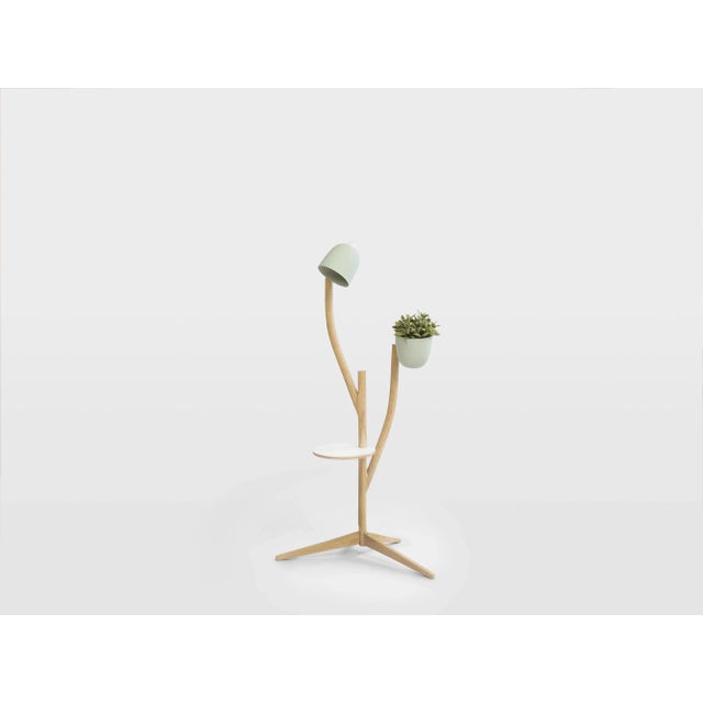 Wood Branch-Out Set from Studio Lorier For Sale - Image 7 of 10