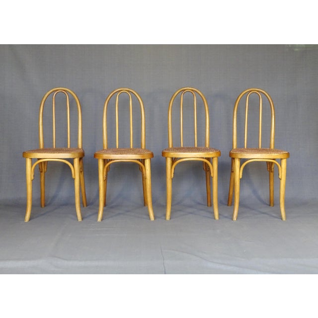 N°A 738 Bistro Chairs from Thonet, 1920, Set of 4 For Sale - Image 11 of 16