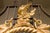 English Carved Giltwood Convex Mirror with Mythical Creatures, circa 1840 For Sale In Atlanta - Image 6 of 11