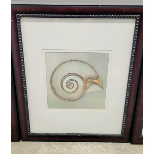 1990s 1990s Set of Large Robb and Stucky Coastal Framed Pale Blue Green Seashell Wall Art Prints- Set 4 For Sale - Image 5 of 12