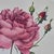 Pierre-Joseph Redouté, Roses, 1950s, Lithographs, Framed, Set of 2 For Sale - Image 13 of 17