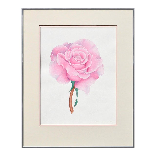 Pink Rose Floral Study by Barbara Gibson For Sale
